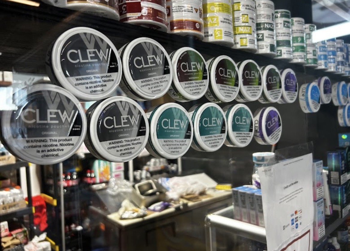 CLEW nicotine pouches display case